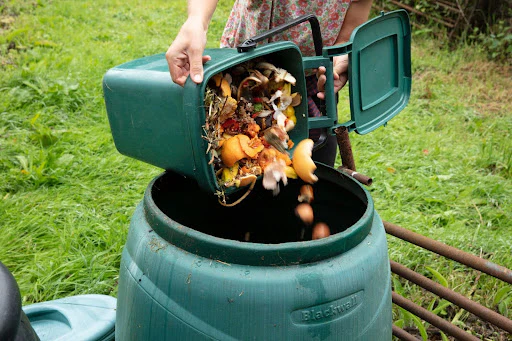 Eco-Friendly Home Swaps for Sustainable Living